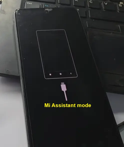 Mi Assistant mode show